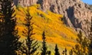 Fall in Colorado is truly magical 🍁